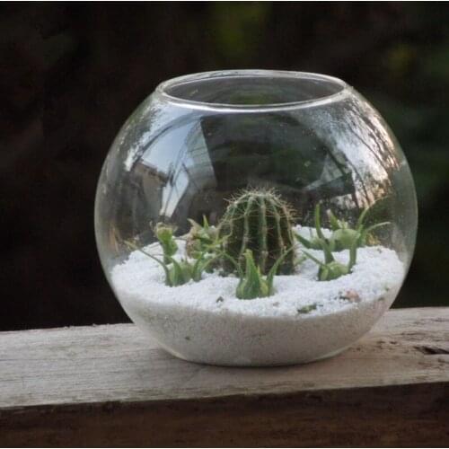 Diameter=8cm Beautiful Flat Mouth Glass Terrarium Fishbowl Creative Glass Globe Aquarium Home Decoration