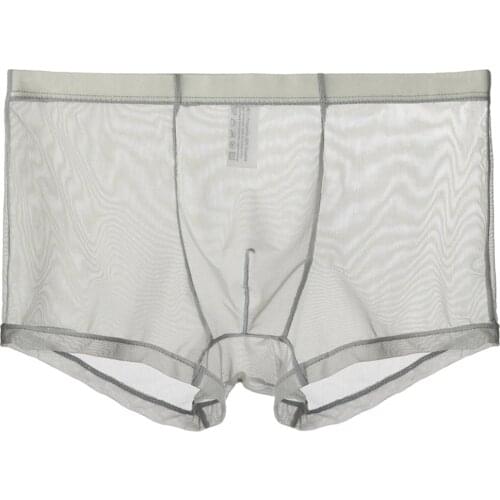 New Sexy Breathable Thin Boxer Shorts Men Mesh Transparent See Through U-Convex Ice Silk Lingerie Underwear Panties