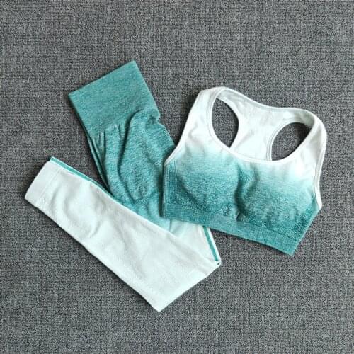 Conjunto de Yoga sin costuras, entrenamiento, gimnasio, conjunto deportivo para mujer, ropa atlética