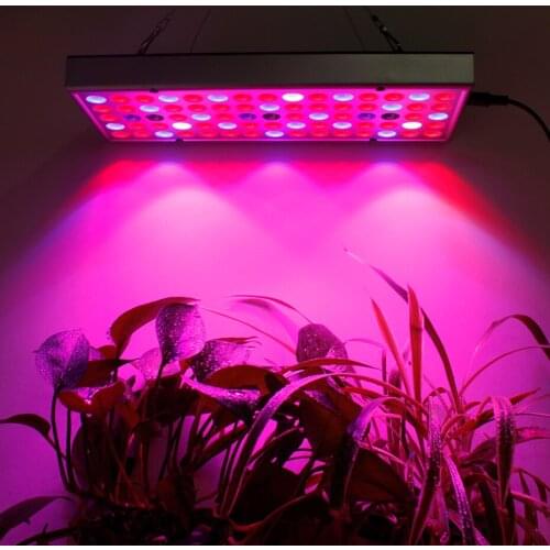 Abay Phytolamps For Plants