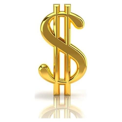 20 extra customizing fee