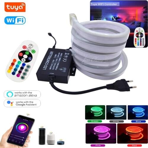 Smart Tuya WiFi neon light AC110V 220V 5050 80LED/M RGB Tape Voice Control RGB LED Strip IP67 Waterproof Outdoor Garden