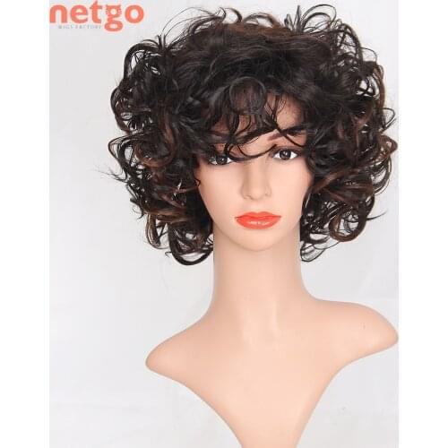 Netgo Short Curly Synthetic Wig For Women Black Mixed Brown Cosplay Wigs Heat Resistant Daily Costume Party Fake Hair