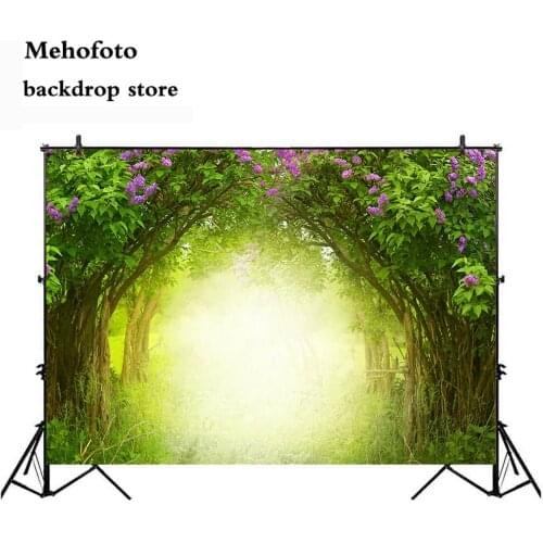 Mehofoto Dreamy Fantasy Photography Backdrop Video Spring Sunday Photo Background Studio Party Decoration Fairy Tale Props 255