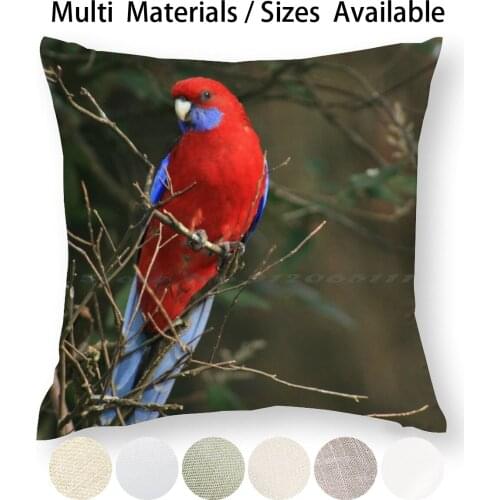 Crimson Rosella Pillow Case Throw Pillow Cover Cotton Linen Flax Bird Australian Native Crimson Rosella Creative Trending