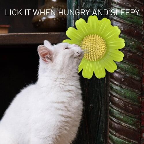 Flower Shaped Pet Hair Removal Scratch Device Luminous Rotating Mint Ball Cat Hair Cleaning Brush Pet Grooming Tool