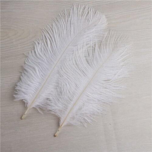 Hot Sale 10pcs white ostrich feathers 6-8 inches/15-20 cm Christmas Birthday Wedding Party DIY Decorations plumas