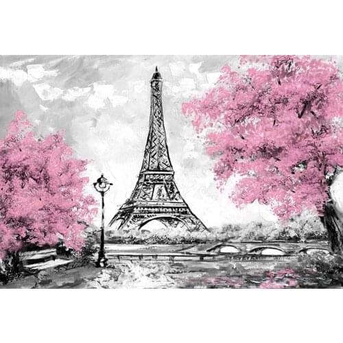 Age of coming photo backgrounds vinyl scenic spot Eiffel Tower photography backdrop for photo Studio props photophone LV-1548