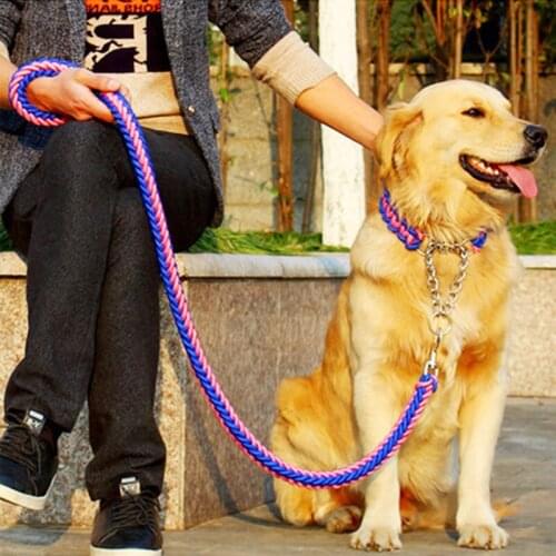 2020 Adjustable Dog Collar Leash Nylon Pet Leash Rope For Medium Dogs Soft Dog Collar Set P Chain For Large Dogs Training Slip