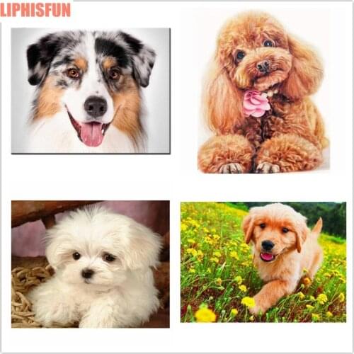 5D DIY Diamond Painting Golden Retriever Dog Puppy Cross Stitch Needlework Home Decor Full Rhinestone Diamond Embroidery