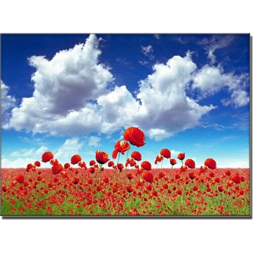 Diamond Art Painting Poppy Flower Mosaic Vast poppy field Embroidery blue sky view Cross Stitch Home Decor Wall Stickers decor