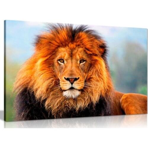 Wild African Lion Canvas Wall Art Picture Print On Canvas Wall Art Drop shipping