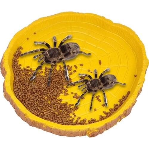 Reptile Food Bowl Shallow Reptile Dish Pets Feeding Plate Resin Bowl Tray Food Water Dish for Snake Tortoise Crickets Crabs Turt