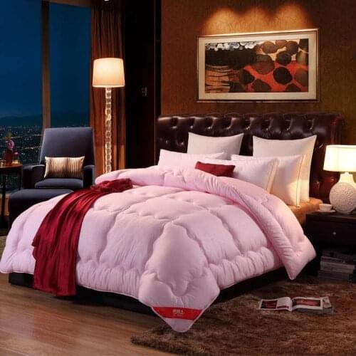 2~4kg Polyester Down Quilt Duvet King Queen Twin size Beige/white/pink Luxury Autumn/Winter Blanket bedding Comforter Filler