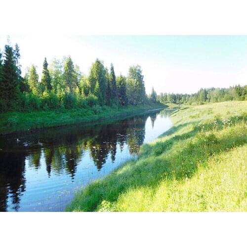 14/16/18/27/28 Top Quality Beautiful Counted Cross Stitch Kit Abstraction Beauty and Grape Woman Riverside tree landscape