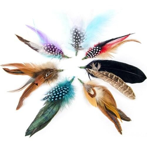 Natural High Quality Pheasant Feathers Handicrafts DIY Hat Decoration Pet Toy Carnival Clothes Corsage Accessories Plumes Crafts