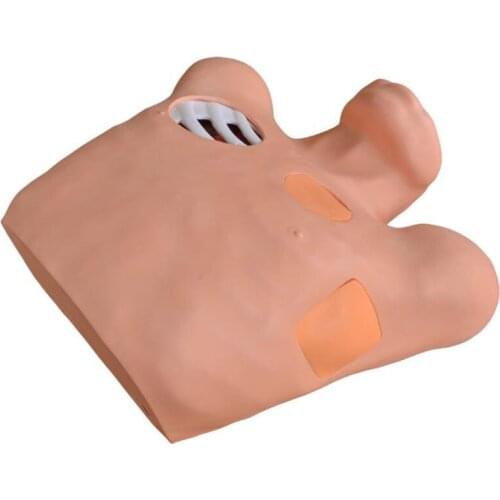 Pneumothorax and Pleural Drainage Simulator Artificial Hydrothorax Simulator