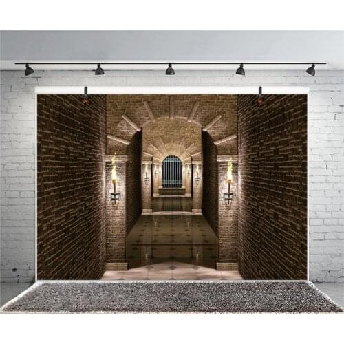 Dark Medieval Castle Adults Kids Photography Backdrop Halloween Corridor Torch Lightning Iron Gate Tunnel Interior Background