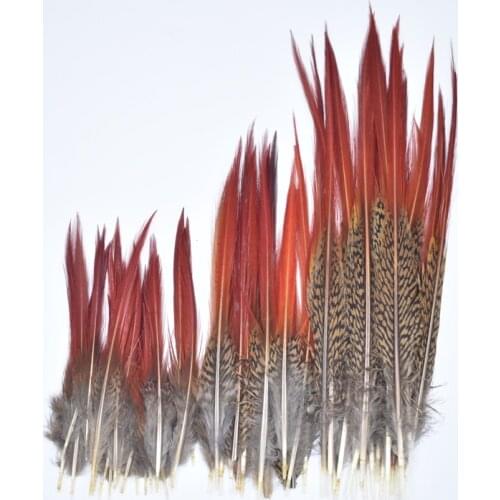 Rare Pheasant Feathers 5~25cm/2-10" Natural Craft Feathers for Crafts Diy Decor Plume Decoration Plumas Carnaval Feather Top