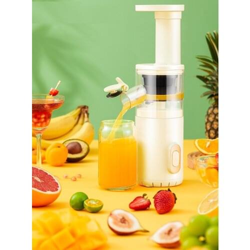 Royalstar Electric Fruit Juicers
