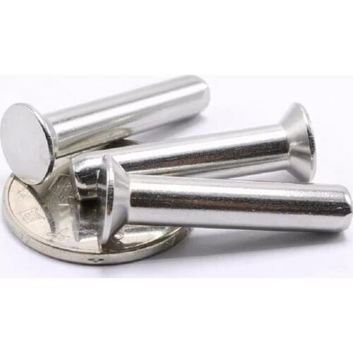 50PCS M2 M2.5 M3 M4 M5 M6 304 Stainless Steel Flat Countersunk Head Solid Rivet GB869 for Label Name Plate