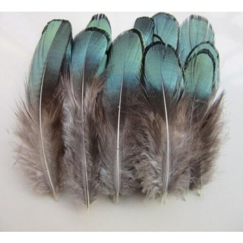 50pcs/set Beautiful Natural Green Pheasant Feathers For Crafts Millinery Embellishments DIY Handmake Arts Material Accessories