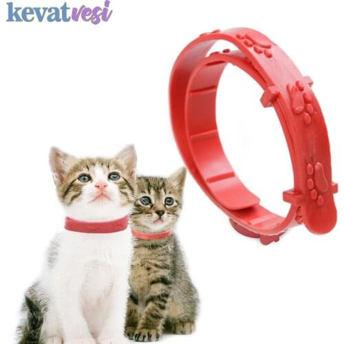Kevat Vesi Clothes For Cats