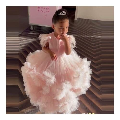Cute Pink Ball Gown Flower Girl Dresses For Wedding Feathers Sleeves Ruffles Tulle Photo Shoot Pageant Gowns For Baby