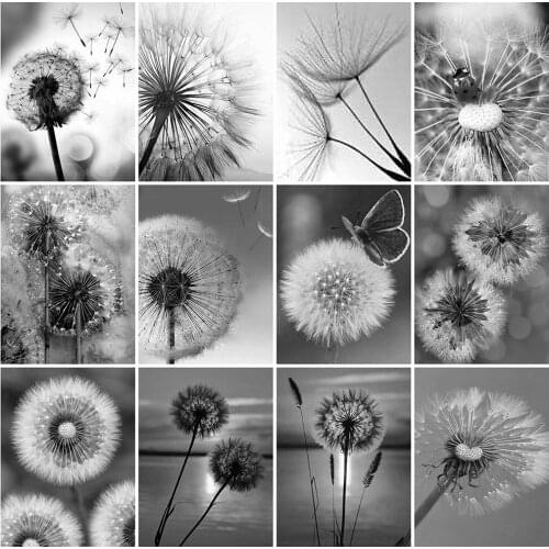 EverShine Full Square Diamond Painting Flower Diamond Embroidery Black And White Picture Mosaic Cross Stitch Dandelion Wall Art