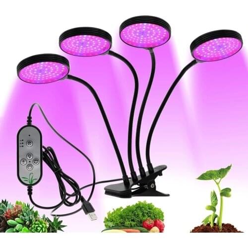 Evelobin Plant Lamps