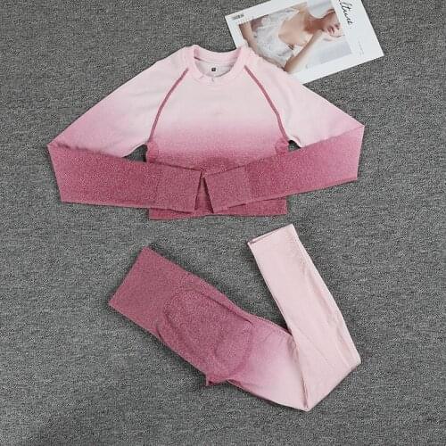 2PCS Yoga Set Women Long Sleeve Crop Tops And High Waisted Tummy Control Sport Leggings Gym Clothing Ombre Seamless Sport Suit