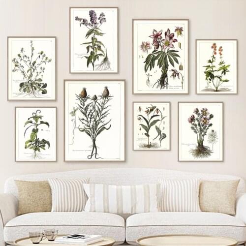 Vintage Herbal Plants Medicinal Flowers Wall Art Canvas Painting Nordic Posters And Prints Wall Pictures For Pharmacy Room Decor