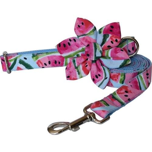 2020 watermelon dog collar dog flower and leash set designer dog collar and leash set durable heavy duty Collar for Large Dog