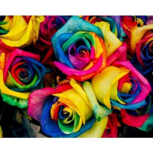 Colorful Rose Diy Painting By Numbers Flower Acrylic Paint On Canvas Pictures Wall Art Painting HandPainted For Home Decoration