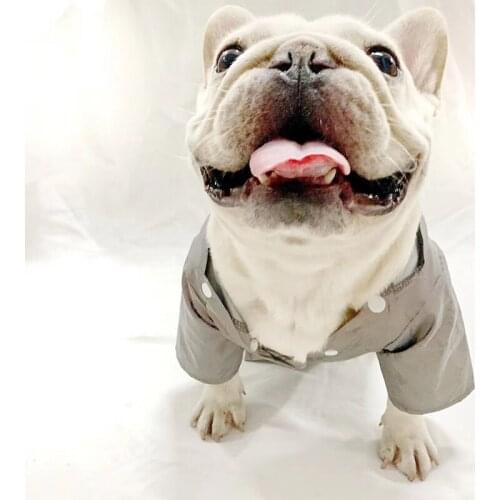 Fashion Beautiful Pet Reflective Jacket Hoodie Poodle French Bulldog Shirt Chihuahua Clothing Pug Clothing ZY2021