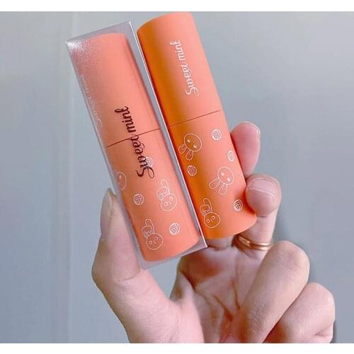 Liquid Lipstick Matte Lip Gloss Cosmetic Korean Lip Glaze Long Lasting Lip Tint Waterproof 6 Color Lipgloss Lips Makeup TSLM1