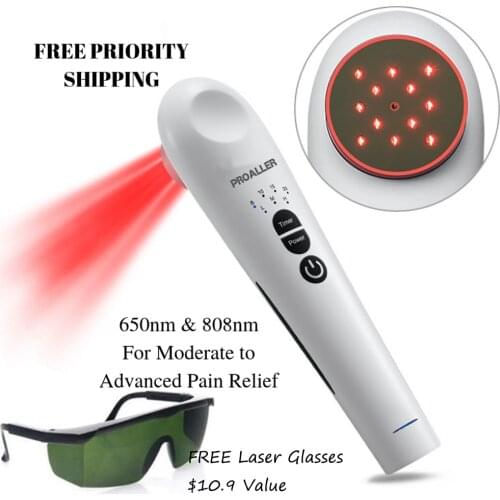 13 Laser Beams Low Level Laser Therapy LLLT 808nm/650nm Physical Therapy Physiotherapy Body Pain Relief for Human And Animals