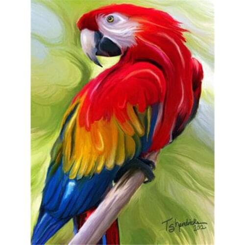 Animal Bird Parrot DIY Embroidery 11CT Cross Stitch Kits Needlework Craft Set Printed Canvas Cotton Thread Home Wholesale