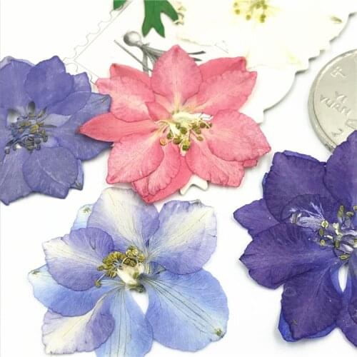 12PCS Dried Flowers Resin Mold Fillings For UV Expoxy Art Pressed Flowers Home Decor Handicraft