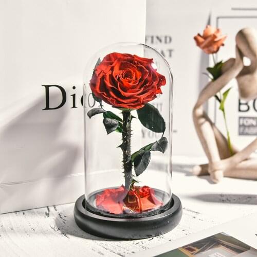 6 Colors Wholesale The Beauty and The Beast Fresh Flowers Red Eternal Roses In A Glass Dome Valentine Christmas Gift Dropshiping