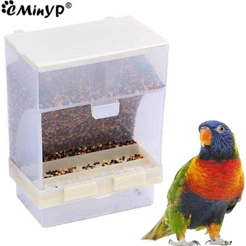 CMinYP Bird Feeders