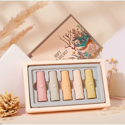 2021 5PCS/Set Matte Lipstick Set Long Lasting Moisturing Lip Gloss Liquid Lipstick Velvet Red Cute Lip Gloss Women Lip Make-up