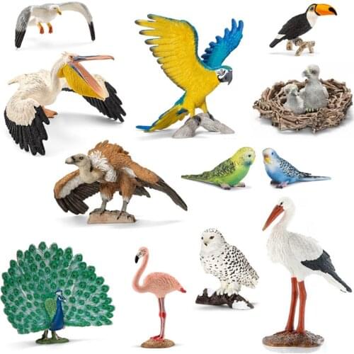 Original genuine birds Raptor Peregrine Cranes Macaw Seagulls Pelican Snowy Owl Flamingo figurine figure kids educational toys