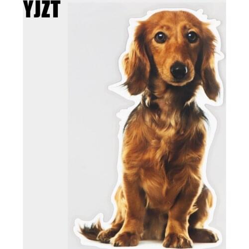 YJZT 11.4×18.7CM Dachshund Cute Dog Vinyl Decals Personality Body Decoration Car Sticker 21A-0847