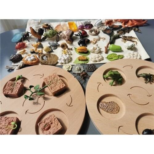 Наука Jumpsecret China At AliExpress