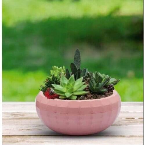 Glaucoma plastic arrangement small flower pot flower cactus sew on decorative aesthetic intact handy