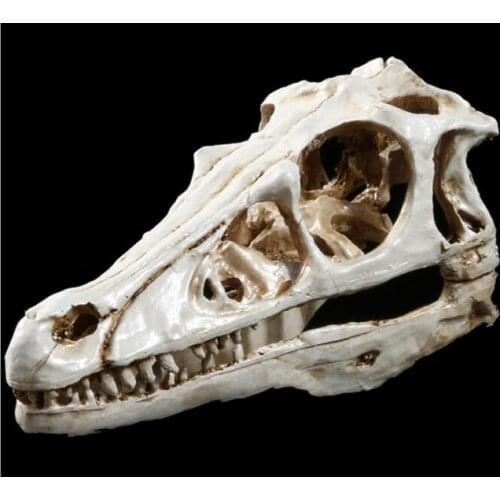 Dinosaur skull model resin crafts Halloween decoration skeleton model free shipping