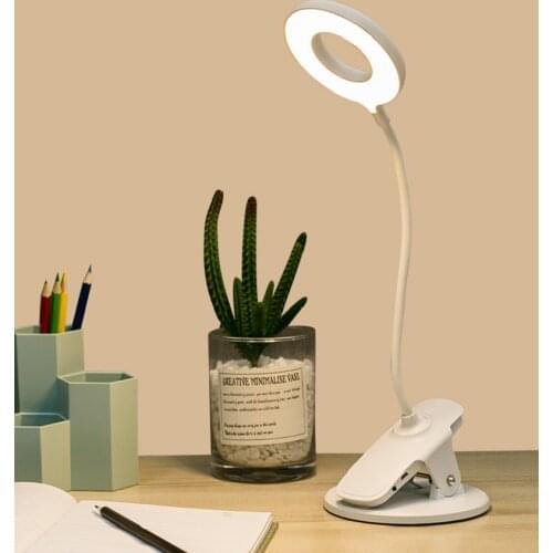 ZHUOYU Desk Lamp