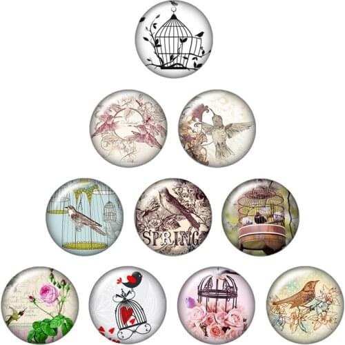 Birds birdcage 10pcs mixed 12mm/16mm/18mm/25mm Round photo glass cabochon demo flat back Making findings