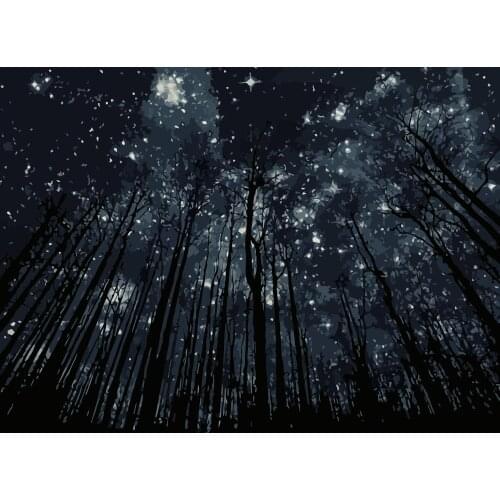 MaHuaf-j621 Beautiful Night Sky coloring by numbers on canvas paint by numbers kit on canvas wall pictures home decor